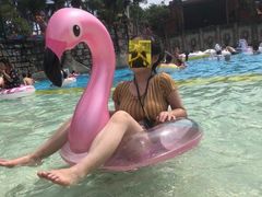 -重庆海昌加勒比海水世界