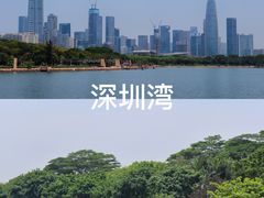-深圳人才公园