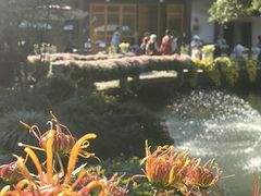 -杭州植物园