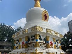 -护国法轮寺