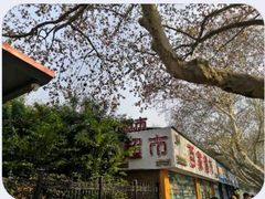 -南京钟山宾馆(江苏省会议中心)