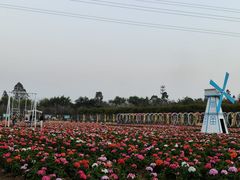 -盈香心动乐园
