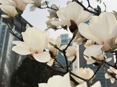 -首都图书馆-咖啡厅