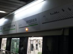 -浦东1号2号航站楼(地铁站)