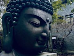 -杭州植物园