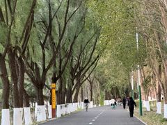 -长白岛森林公园