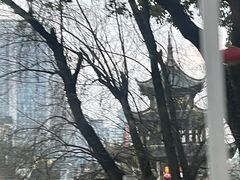 -老凯俚酸汤鱼(东山店)