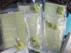 宝山定做助听器取耳样-宁耳听力助听器奥迪康·峰力·西门子(宝山店)