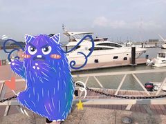 -大湾区中央湿地公园
