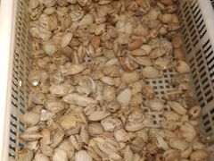 -星伦多自助料理·涮烤一体(嘉兴八佰伴店)