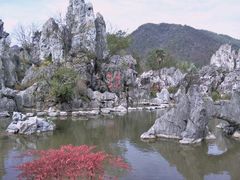 -千岛湖石林