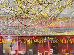 -大慈岩风景区