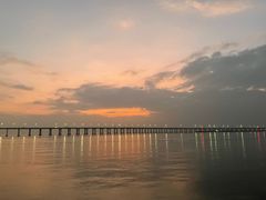 -宝安西湾红树林湿地公园