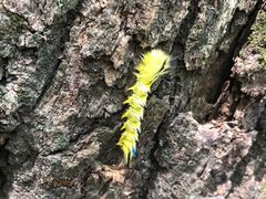 -终南山南五台景区