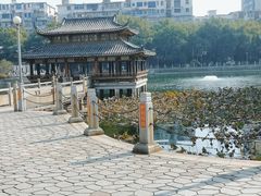 -孺子亭公园