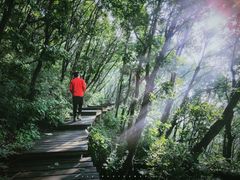 -白草畔自然风景区