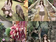 -正佳雨林生态植物园