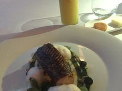 -迪拜帆船酒店海底餐厅