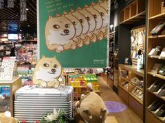 -九木杂物社(江宁金鹰店)