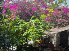 -陈有良尖椒鸡(江津总店)