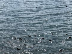 -大理洱海