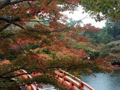 -醍醐寺