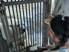 -泉城欧乐堡海洋极地世界