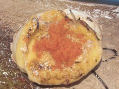 -芥岛(河北大街店)