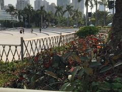 景点-白鹭洲公园