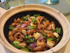 -刘胖子家常菜·蹄花焖藕(兴业店)