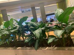 -乐凯撒披萨(喜荟城店)