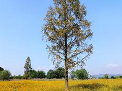 -良渚古城遗址公园