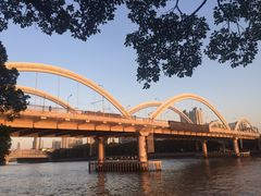 -珠江夜游省总码头