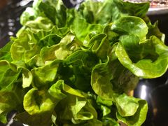 -燚青春东北泥炉烤肉(百合店)