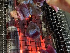 -柿子树炭烤羊腿(金台路店)