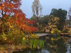 -杭州西子湖四季酒店·金沙厅