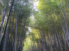 -苏州环秀晓筑养生度假村