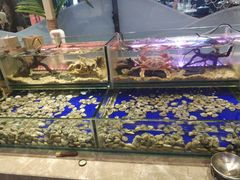 -万达广场(东莞厚街店)