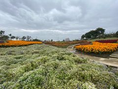 -紫颐香薰山谷景区