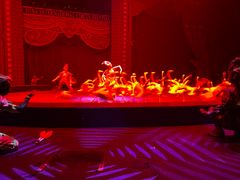 -珠海横琴长隆《卡卡虎奇遇记》