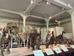 -美国自然历史博物馆