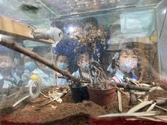 -上海市浦东新区恒宇幼儿园(杨南部)