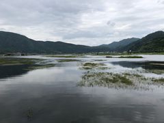 -腾冲北海湿地