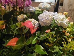 -春暖花开(西溪店)