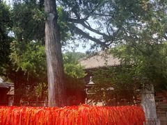 -红螺寺