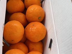 -年轮烧烤·羊蝎子·烤鱼(星湖街店)