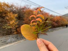 -鬼笑石后山停车场