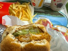 -麦当劳(塔园路店)