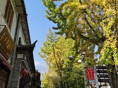 -大理董·董家小厨野生菌火锅(古城旗舰店)