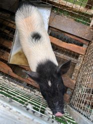 -可可天空农场(中大店)